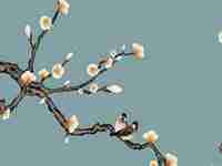 数字9的风水含义是什么(19数字风水中的含义作文写作问答)