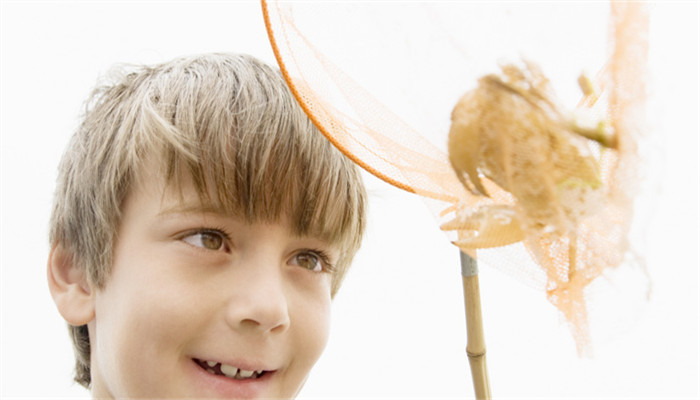 梦见和别人一起捞鱼(梦见和别人一起捞鱼是什么意思)