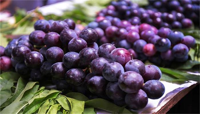 女人梦见摘紫色葡萄吃()