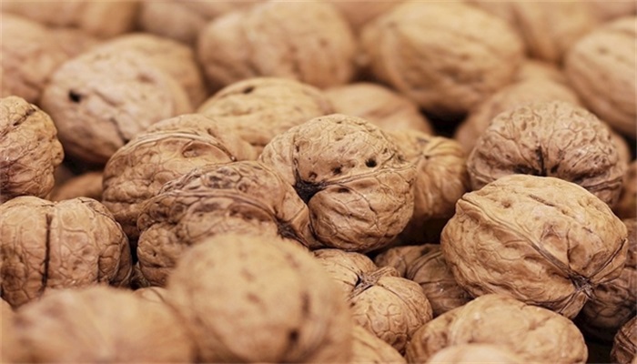 女人梦见树上结满核桃()