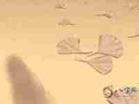 2020鼠年12月出生的男宝宝取什么名字(2020鼠年12月出生的男宝宝取什么名字好)