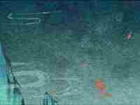 学业最旺的八字特征