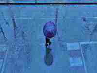 孕妇梦见下大雨是什么意思(孕妇梦见下大雨是什么意思周公解梦)