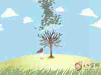 八字纯阴什么样(八字纯阴怎么看)