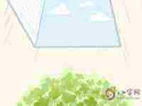 八字中财星多旺的男人都很好色吗-八字网(八字财星太旺的男人)