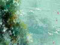 农历初八五行属什么(农历初八五行属什么命的)