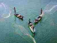 梦见下网捕鱼是什么意思(梦见下网捕鱼是什么意思啊)