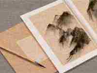 独特的网络公司名字(独特的网络公司名字大全)