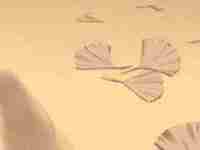 脸上痣长这几处地方不适合自己创业(你脸上长痣有哪些部位不能取)