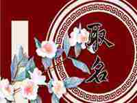 2022年2月3日出生的宝宝参考八字取名-八字网(2022年2月3日出生的宝宝属什么)