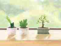 有偏财运八字(有偏财运八字的女人)