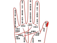 婚姻线有两根是代表有两段婚姻吗-八字网(婚姻线有两根一样长说明什么)