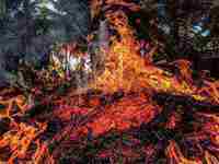 女人梦见大火烧山什么意思()