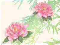 适合公司起名的寓意字(适合公司起名的寓意字有哪些)