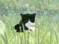 八字五行缺土补什么(八字五行缺土补什么好)