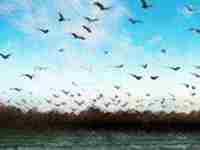 八字分析你还不会有第二次婚姻呢(八字看第二次婚姻)