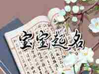 虎宝宝张姓满分名字(张姓虎宝宝取名)