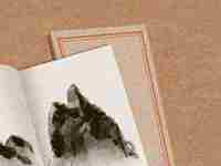 咖啡馆起什么名字好听(咖啡馆起什么名字好听点)