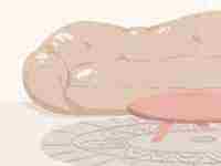 手机号带什么数字不好(手机号带什么数字不好)