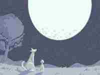 紫微斗数十四颗主星之一贪狼星详解-八字网(紫微斗数中的贪狼星)