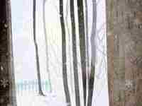 冬至一候蚯蚓结(冬至一候蚯蚓结图片)