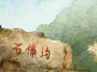 八字时支正官见流年伤官(年支正官时支伤官)