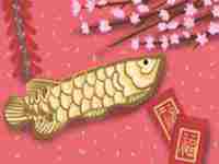 家中植物风水知识(家中植物风水知识大全)