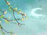 八字排盘需要精确到分钟吗-八字网(八字排盘要按北京时间吗)