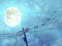 2022年兔和蛇感情是否会波折(2022年兔和蛇感情是否会波折呢)