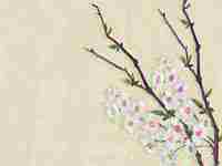 广告公司取名字大全集(广告公司取名字大全集大气好记广告公司名字)