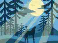 怎么招鬼(怎么招鬼)