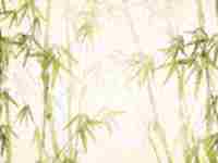 姻缘占卜(姻缘占卜何时结婚)