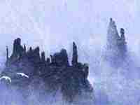 流年遇到伤官见官(流年遇到伤官见官表现在哪方面)