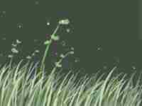 关于苦情痣你们知道该怎么化解吗(苦情痣的说法是真的吗)