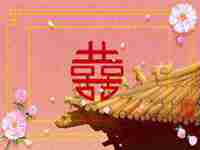 戊土女和甲木男家庭兴旺(戊土女和甲木男家庭兴旺好吗)