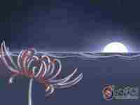 印堂八字纹的女人面相好不好-八字网