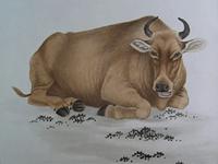 97年属牛女适合找大几岁男友()