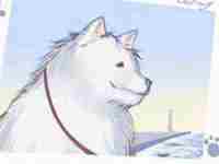 川字掌纹的女人手相(两手川字掌纹的女人手相)