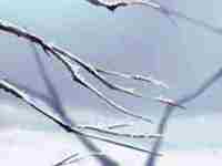 八字排盘怎么看结婚时间和姻缘-八字网(八字排盘怎么看什么时候结婚)