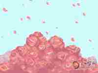 屋后有柳树如何化解-八字网(屋后有柳树的风水好不好)