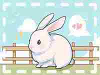 属鸡男和属兔女的适合做夫妻吗(属鸡男和属兔女的适合做夫妻吗)