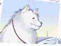 八个卧室风水布局禁忌小知识-八字网(卧室八个朝向最好顺序)