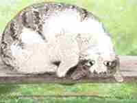 赵姓女孩有内涵的名字应该怎么起-八字网(赵姓女孩有涵养的名字)