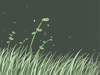 在办公室的桌上摆放什么不容易被解雇-八字网(办公室桌子上放什么)