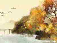 八字桃花运势(八字桃花运势2022年)