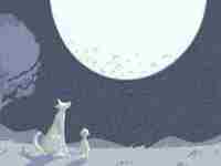 眉尾的朱砂痣代表什么(眉尾的朱砂痣代表什么意思)