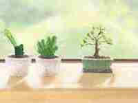 赵姓男孩什么名字最好听(赵姓男孩名字大全属兔2023年)