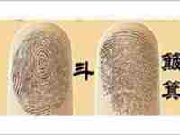 解析指纹上有八个斗的男人感情状况-八字网(指纹8个斗的男人)