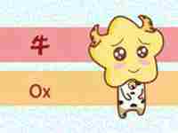 2021牛宝宝取名禁忌(2021牛宝宝取名禁忌有哪些)