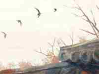 什么样的八字有偏财运